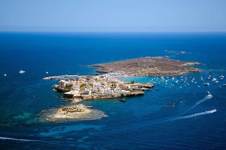 13 Rocafel 7 Playa Albufereta Аликанте Екстериор снимка